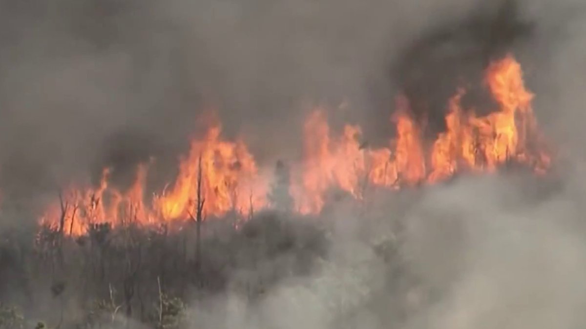 Miami-Dade brush fire started by lightning strike, officials say – NBC 6 South Florida