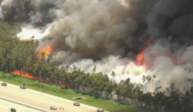 Video shows large brush fire burning next to Florida’s Turnpike in Miami-Dade – NBC 6 South Florida