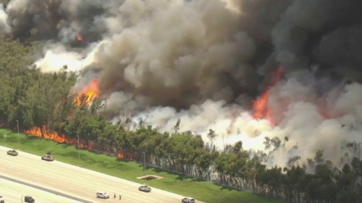 Video shows large brush fire burning next to Florida’s Turnpike in Miami-Dade – NBC 6 South Florida