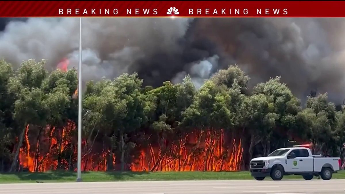 Three wildfires burn more than 20,000 acres in Miami-Dade, force road closures – NBC 6 South Florida