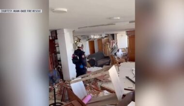 Rescuers, K-9s from Miami-Dade search for survivors in Venezuela after earthquakes – NBC 6 South Florida