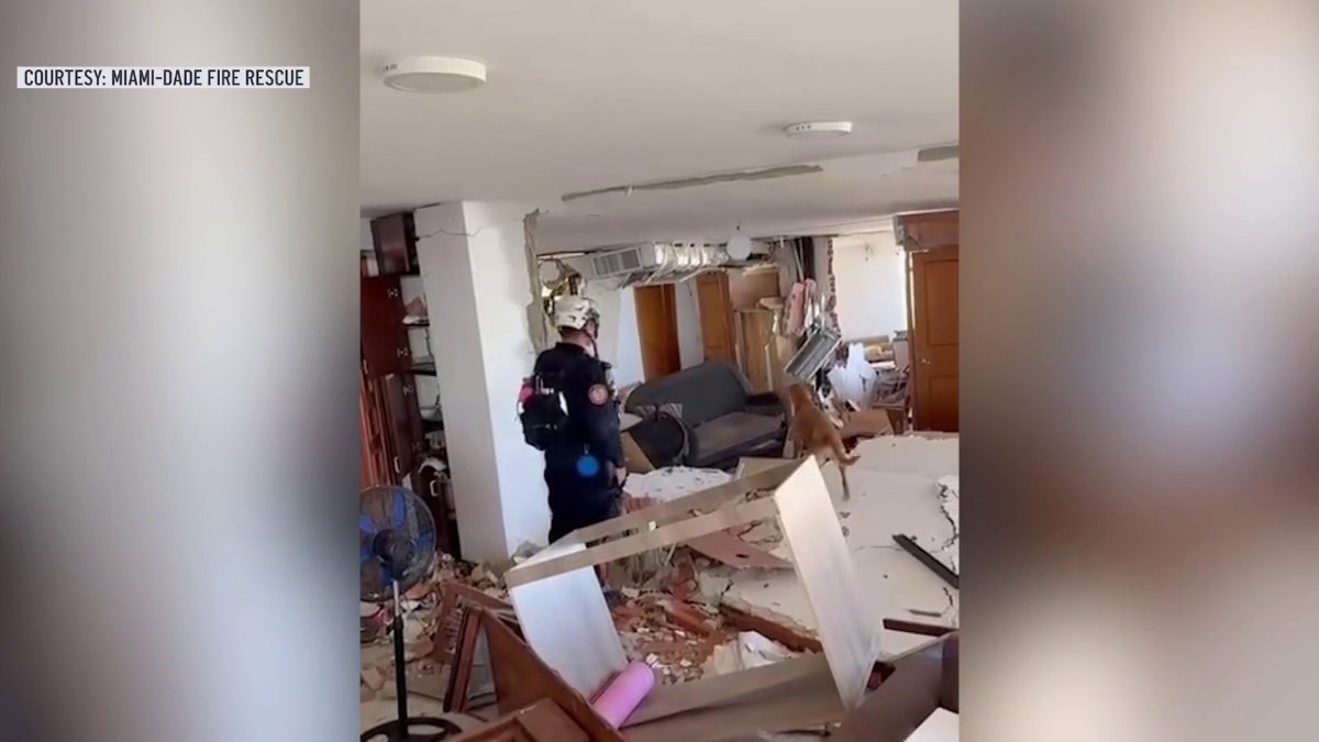 Rescuers, K-9s from Miami-Dade search for survivors in Venezuela after earthquakes – NBC 6 South Florida