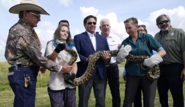It’ssss back! 🐍 Florida Python Challenge returns in July