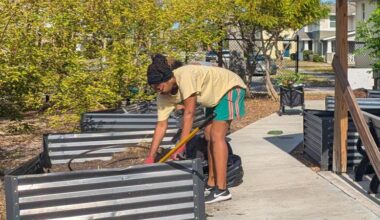 Around town: South Pinellas news briefs