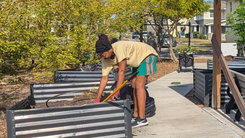 Around town: South Pinellas news briefs