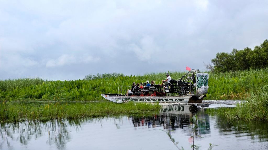 Man says alligator bit his face at Central Florida animal encounter – Orlando Sentinel