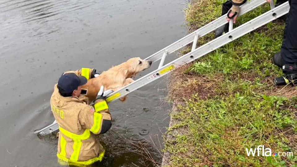 Credit: Cape Coral Fire Department