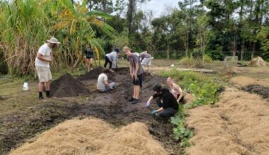 Students and staff gardening at Ogier gardens.