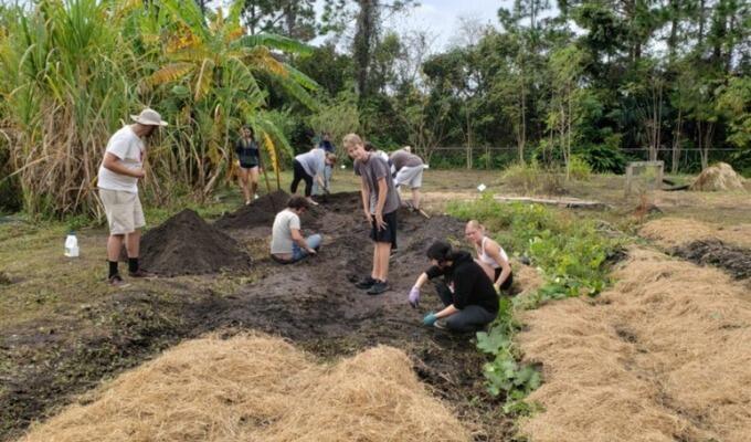 Students and staff gardening at Ogier gardens.