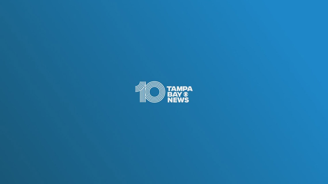 10 Tampa Bay News at 8:00 am