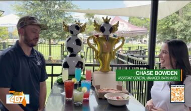 BarkHaven turns World Cup into World Pup with dog-friendly watch parties