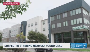 USF student believed to be dead after stabbing 2 others at Tampa apartment complex, HCSO says