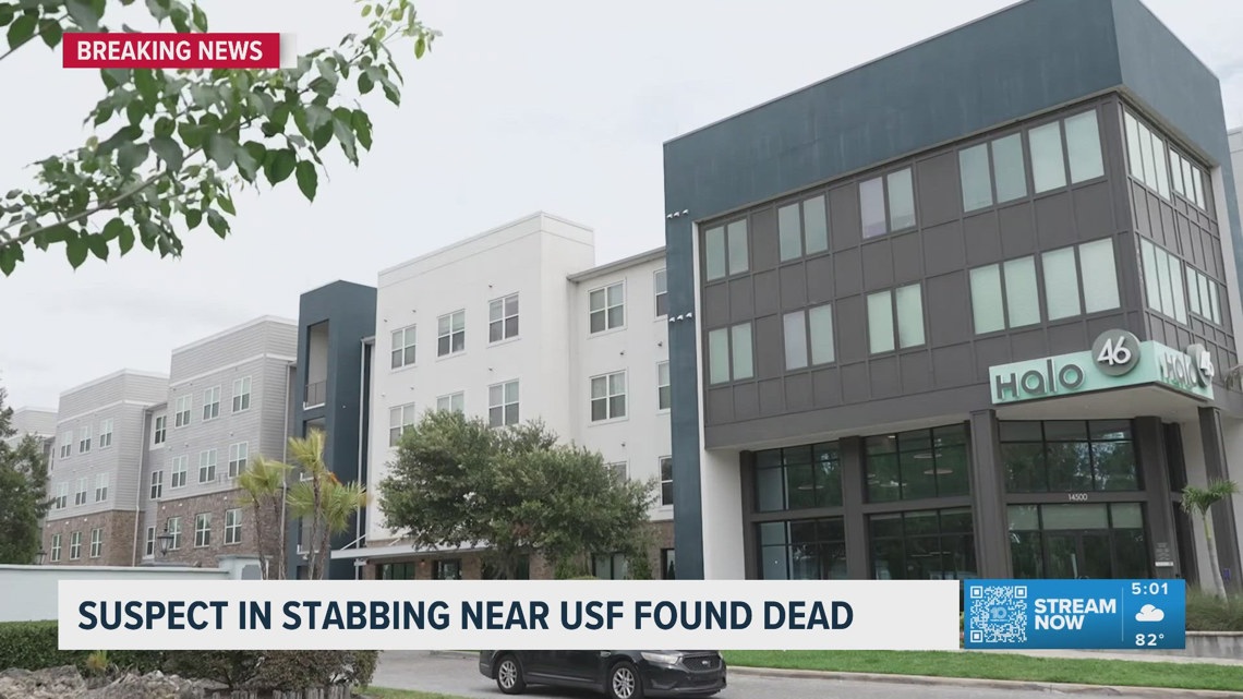 USF student believed to be dead after stabbing 2 others at Tampa apartment complex, HCSO says