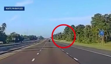 Paraglider makes emergency landing on I-95 in Central Florida
