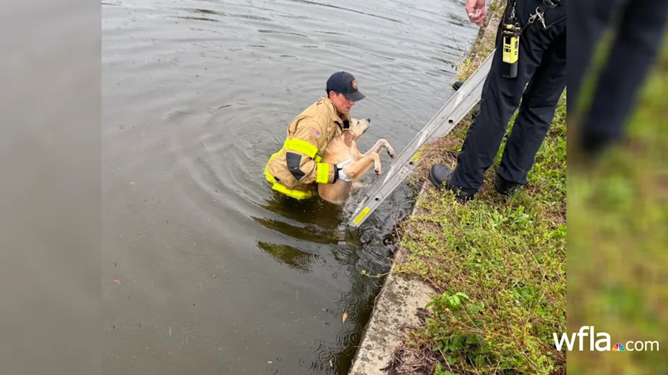 Credit: Cape Coral Fire Department