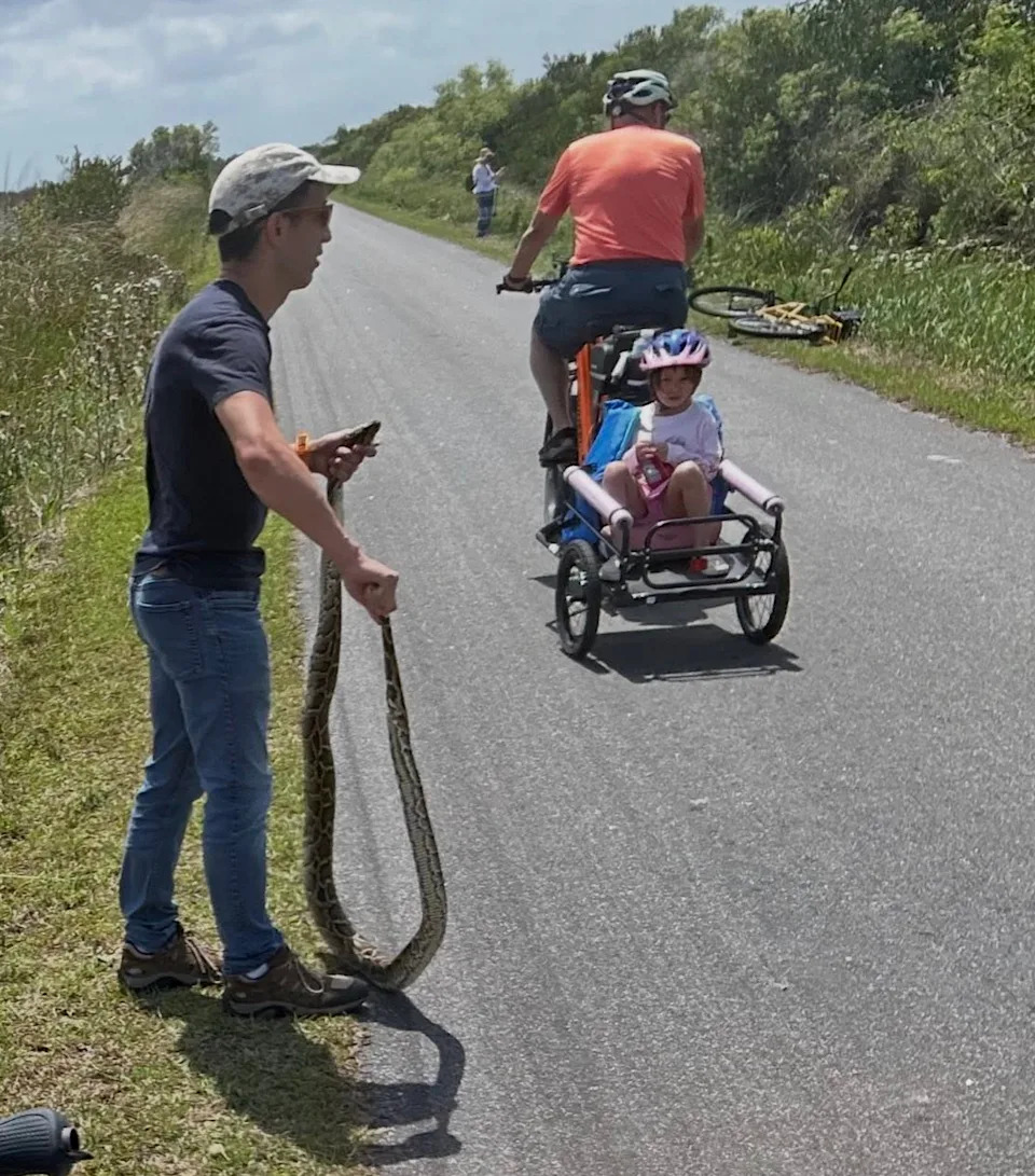 A Florida man holds up a Burmese python he caught on a bike path.