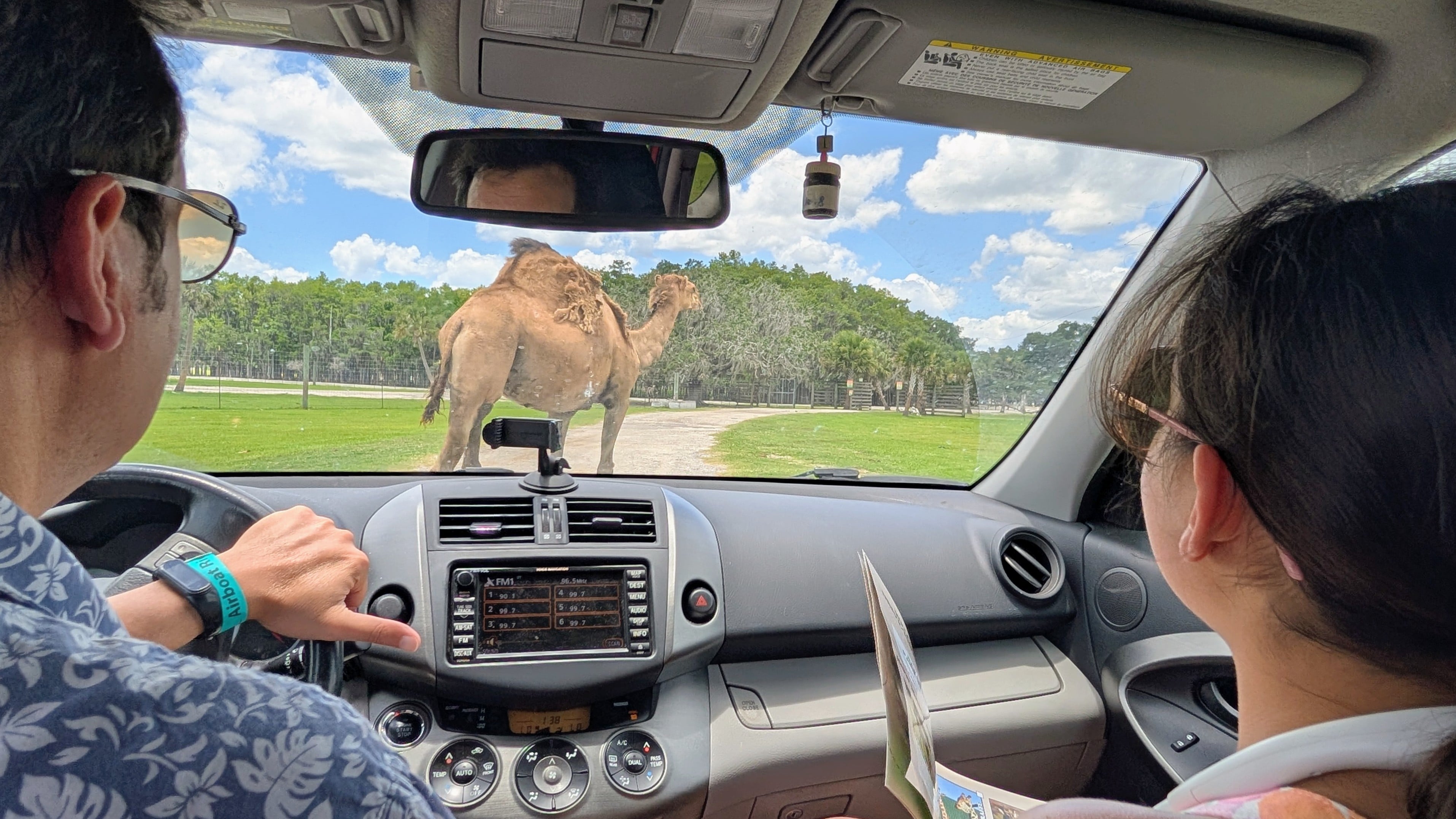 Drive-thru safari at Wild Florida Adventure Park