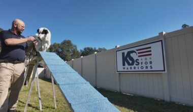 K9 For Warriors hosting free adoption event Sunday: What to know