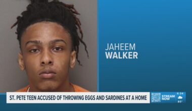 St. Petersburg teen accused of throwing eggs and sardines at a home, causing criminal damage