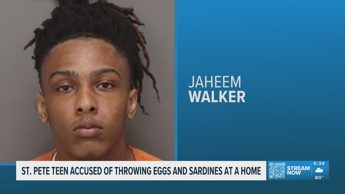 St. Petersburg teen accused of throwing eggs and sardines at a home, causing criminal damage