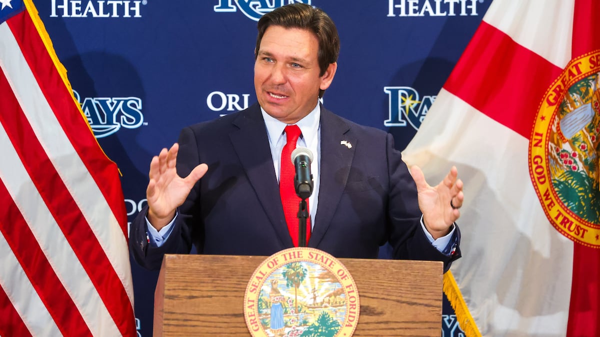 DeSantis axed $800 million from the state budget. How did Tampa Bay fare?