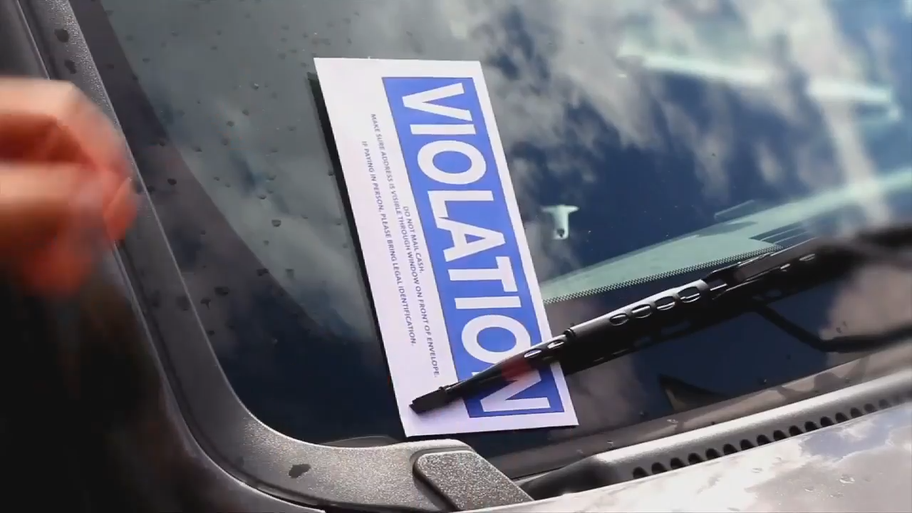South Florida woman wants new parking laws - WSVN 7News | Miami News, Weather, Sports