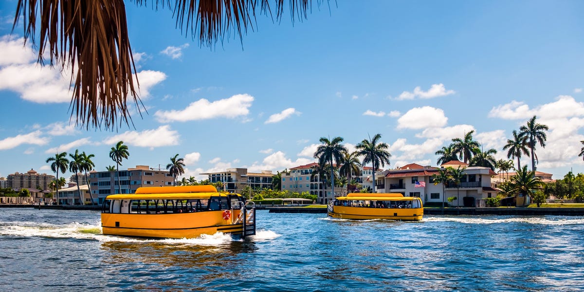 Visiting 'Venice of America' in Florida: What It's Like, Things to Do