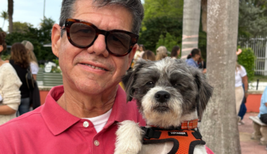 How a stray dog found his fur-ever home | Key Biscayne