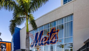 Marauders take finale with 8-3 win over Mets | Sports
