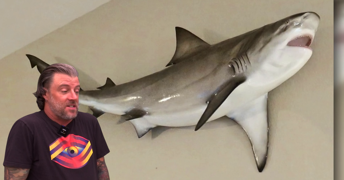 Port Charlotte man's 7-foot shark replica stolen from front porch | Charlotte County