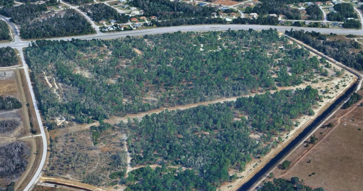 Major retailers planned for eastern Lee County project | News