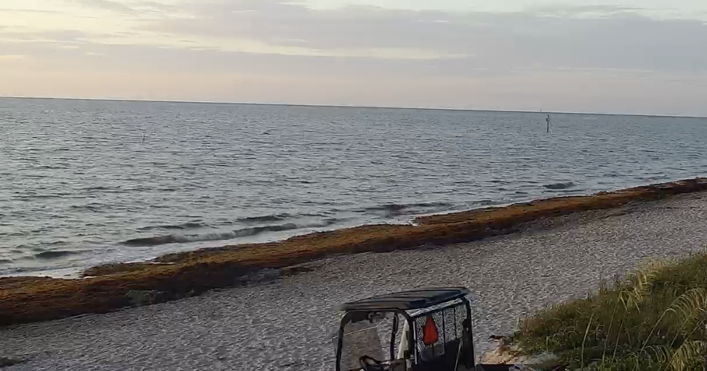 Sunny start to Key Biscayne’s Monday | Key Biscayne