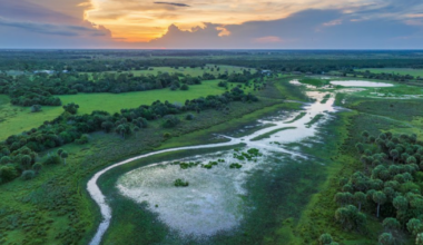 Gov. DeSantis approves 6,237 acres of new conservation land | State