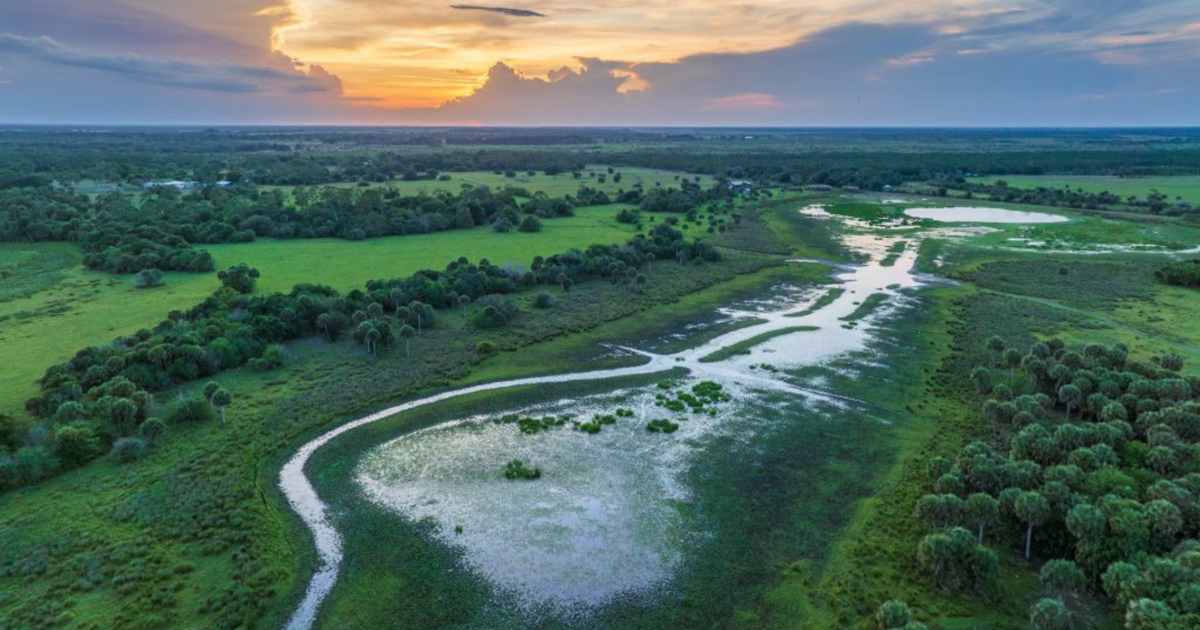 Gov. DeSantis approves 6,237 acres of new conservation land | State