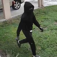 Teen arrested in string of Martin County auto thefts, burglaries15-year-old accused of targeting Kia vehicles in four communities; brief foot chase leads to arrest | Martin County