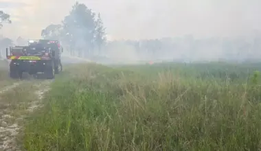 Palm City Brush Fire Now 100% Contained | NewsRadio WFLA
