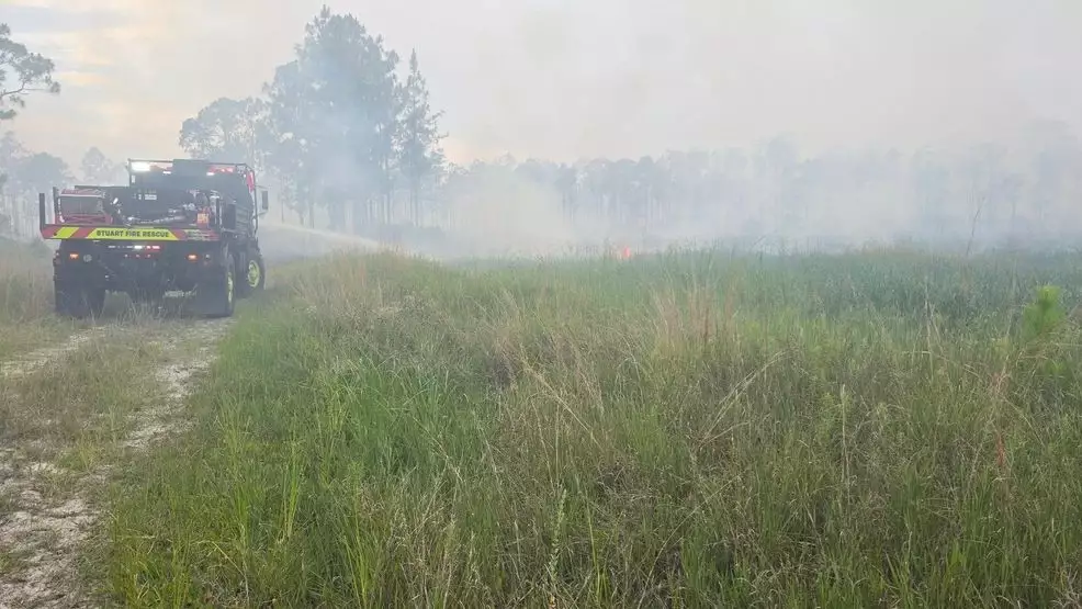 Palm City Brush Fire Now 100% Contained | NewsRadio WFLA