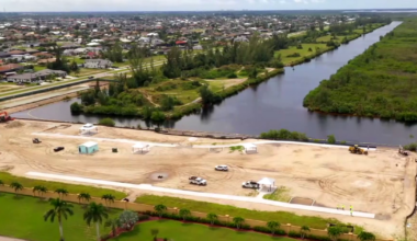 Cape Coral neighbors demand answers after mangroves cleared near waterfront | Lee County