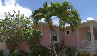 Florida leads nation in foreclosures as Punta Gorda homeowners struggle | Charlotte County