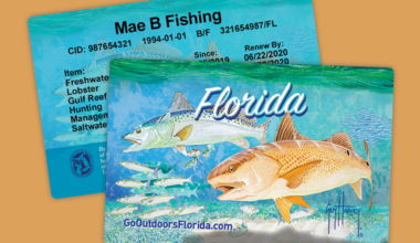 New FWC Fishing License Rule Sparks Backlash | Miami