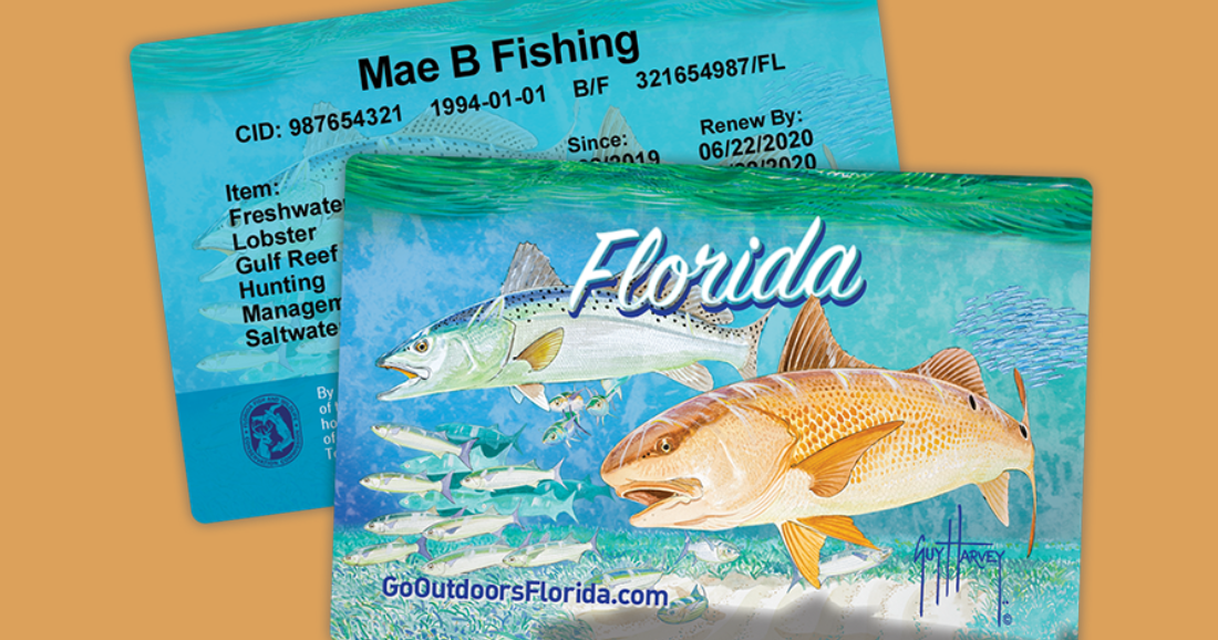 New FWC Fishing License Rule Sparks Backlash | Miami