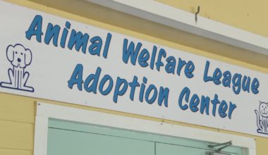 Commissioners meet June 23 to discuss AWL funding proposal | Charlotte County