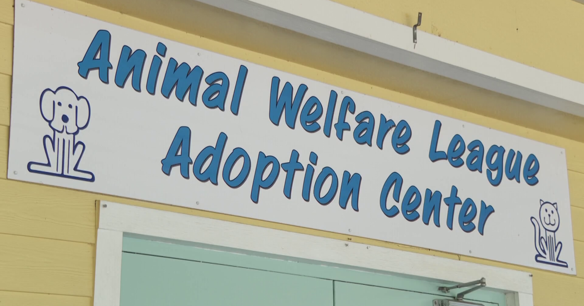 Commissioners meet June 23 to discuss AWL funding proposal | Charlotte County