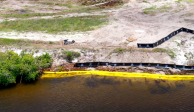Cape Coral developer says contractor mistakenly removed mangroves | Lee County