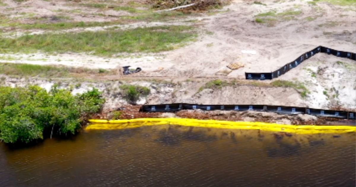 Cape Coral developer says contractor mistakenly removed mangroves | Lee County