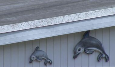 Roof installer admits “manufacturer defect” is impacting dozens of SWFL roofs replaced after Hurricane Ian | Investigations