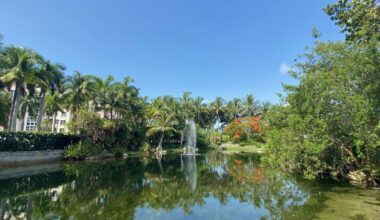 Heat index could reach 110 degrees on Key Biscayne today | Key Biscayne