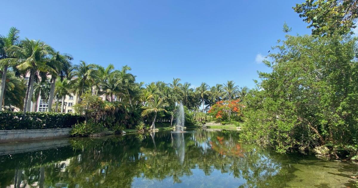 Heat index could reach 110 degrees on Key Biscayne today | Key Biscayne
