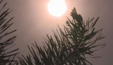 SWFL heat advisory: Fort Myers Shores community ditches most outdoor activities | Lee County