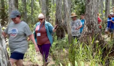 Teachers trade classrooms for muddy swamp at FGCU's hands-on summer camp | Lee County